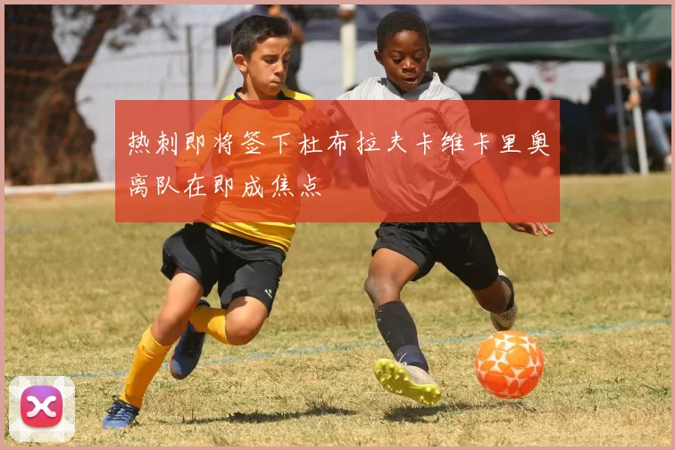 热刺即将签下杜布拉夫卡维卡里奥离队在即成焦点