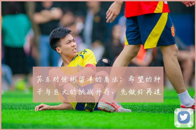 苏东对徐彬留洋的看法：希望的种子与巨大的挑战并存，先做好再追求完美